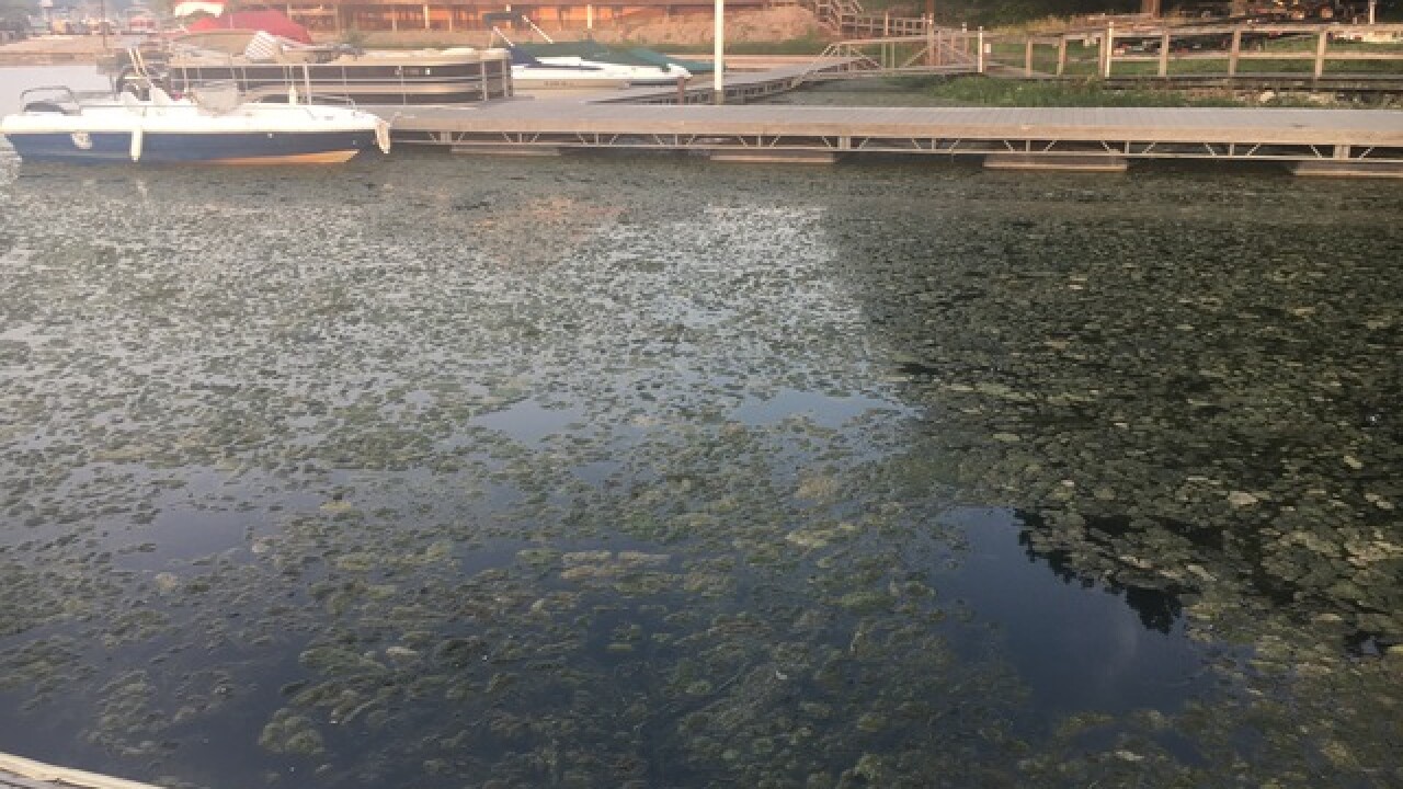 what channel is local weather on dish network what channel is local weather on dish network